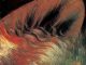 Respire – Black Line album (download)