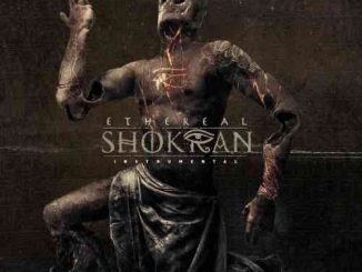 Shokran – Ethereal album (download)
