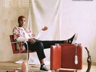 Arlo Parks – Collapsed In Sunbeams Album (download)