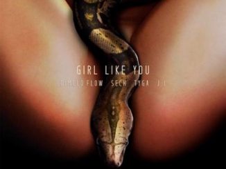 Dímelo Flow, Sech & Tyga – Girl Like You (download)