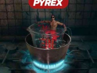 Digga D – Made In The Pyrex Album (download)