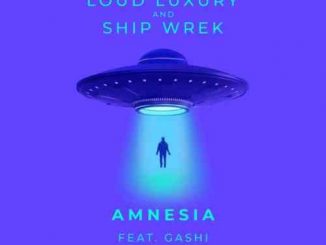 Loud Luxury & Ship Wrek – Amnesia f. GASHI (download)