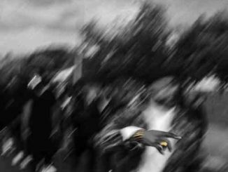 Priddy Ugly – A Reminder To You (download)