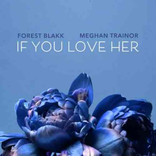 Forest Blakk – If You Love Her f. Meghan Trainor (download)