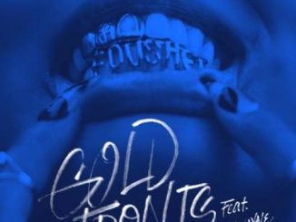 Fousheé – gold fronts (feat. Lil Wayne) (download)