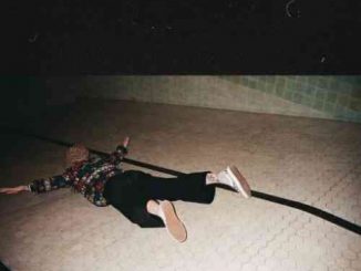 Hayley Williams – Colour Me In (download)