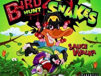 Sauce Walka – Birdz Hunt Snakes Album (download)