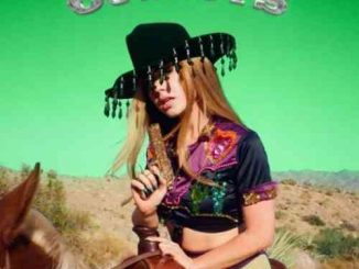 Slayyyter – Cowboys (download)