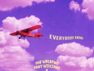 The WRLDFMS Tony Williams & Wale – Everybody Knows (download)