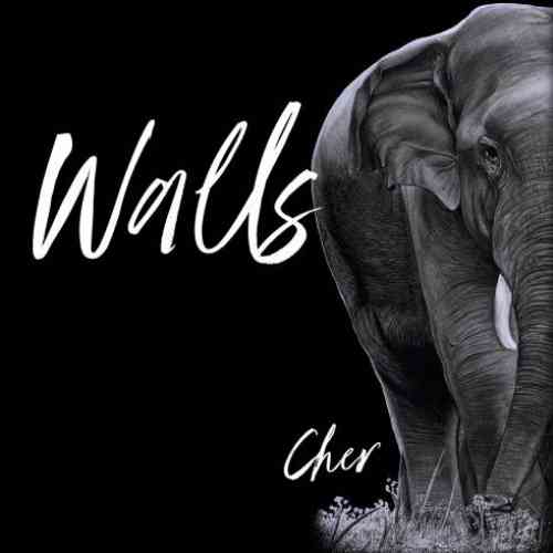 Cher – Walls (download)