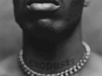 DMX – Exodus Album (download)