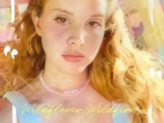 Lana Del Rey – Wildflower Wildfire (download)