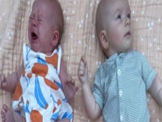 Mandy Moore And Hilary Duff Introduced Their Babies To Each Other