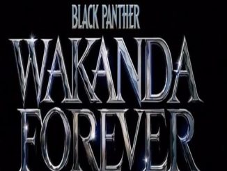 Marvel Revealed New Titles For Black Panther And Captain Marvel Sequels