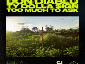 Don Diablo – Too Much to Ask feat. Ty Dolla $ign (download)