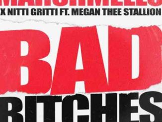 Marshmello, Nitti Gritti & Megan Thee Stallion Bad Bitches (download)