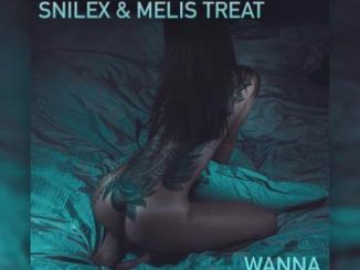 Snilex & Melis Treat – Wanna (download)