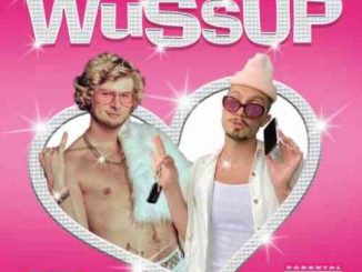 bbno$ & Yung Gravy – wussup (download)