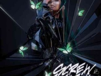 Au-Ra – Screw Feelings (download)