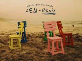 Camilo & Shawn Mendes – KESI Remix (download)