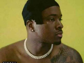 IDK – USEE4YOURSELF Album (download)