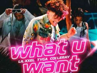 Lil Xxel, Tyga & Coi Leray – What U Want (download)