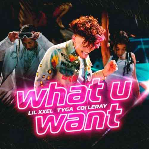 Lil Xxel, Tyga & Coi Leray – What U Want (download)
