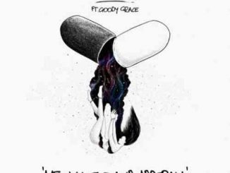 Lost Kings – Me Myself & Adderall Ft. Goody Grace (download)