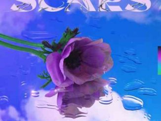 Nghtmre feat. Yung Pinch – Scars (download)