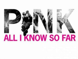 Pink – All I Know So Far f. Dubdogz & Selva Remix (download)