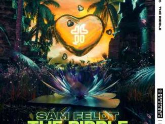 Sam Feldt x LateShift – The Riddle (download)