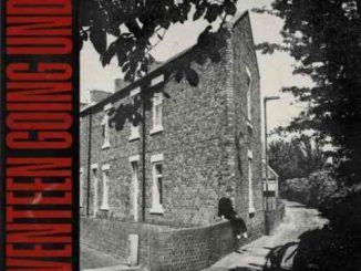 Sam Fender – Seventeen Going Under (download)