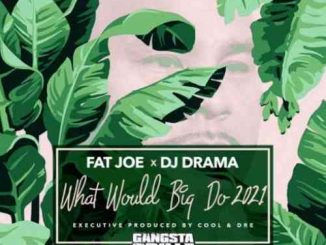 Fat Joe, DJ Drama & Cool & Dre – What Would Big Do 2021 (download)