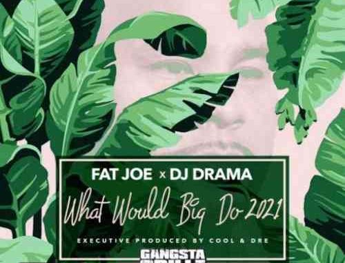 Fat Joe, DJ Drama & Cool & Dre – What Would Big Do 2021 (download)