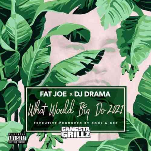 Fat Joe, DJ Drama & Cool & Dre – What Would Big Do 2021 (download)