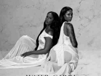 Tiwa Savage – Water & Garri EP (download)