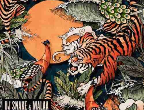 DJ Snake & Malaa – Pondicherry (download)