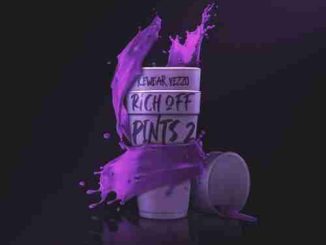 Icewear Vezzo – Rich Off Pints 2 album (download)