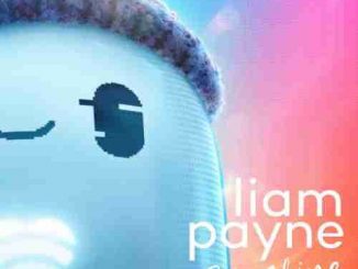 Liam Payne – Sunshine (download)