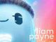 Liam Payne – Sunshine (download)