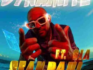Sean Paul x Sia – Dynamite (download)