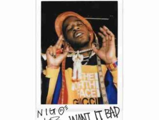 Kid Cudi & Nigo – Want It Bad (download)