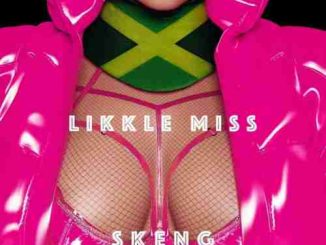 Nicki Minaj - “Likkle Miss (Fine Nine)” Remix (download)