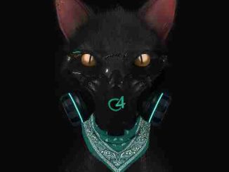 Bad Bunny - Gato De Noche (download)