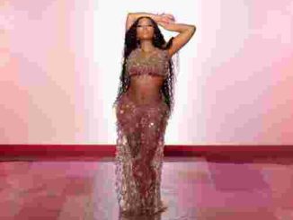 Nicki Minaj - For All The Barbz (download)