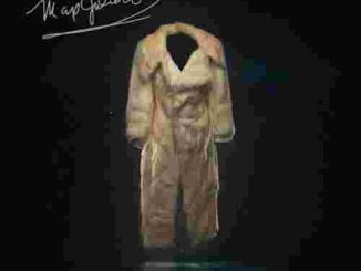 Wale - Max Julien (download)